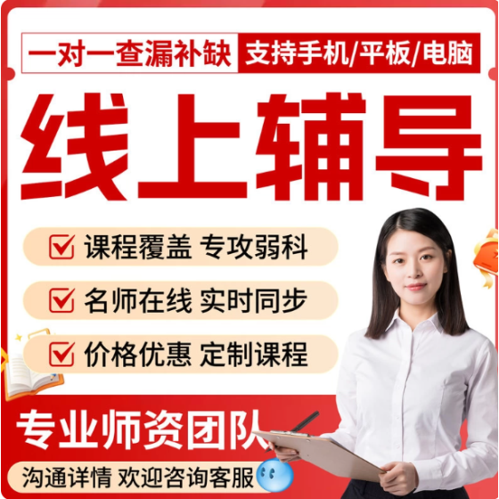 线上一对一辅导教学查漏补缺答疑试听课辅导网上家教网络在线真人（拍下后请联系客服）